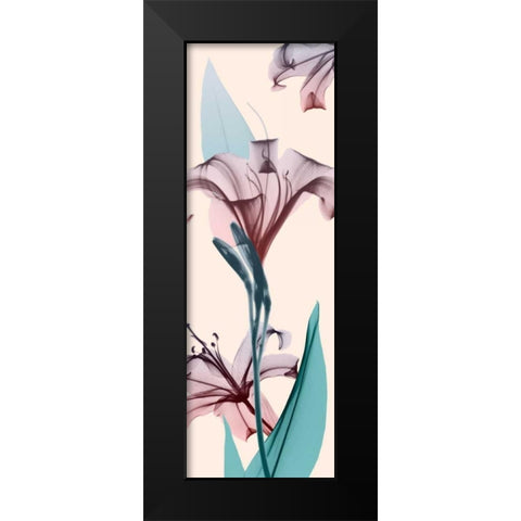 Spring Lily Black Modern Wood Framed Art Print by Koetsier, Albert