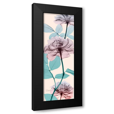 Spring Rose Black Modern Wood Framed Art Print by Koetsier, Albert