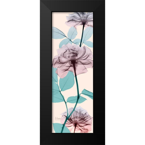 Spring Rose Black Modern Wood Framed Art Print by Koetsier, Albert