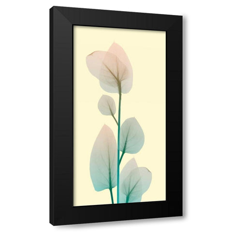 Blissful Bloom 2 Black Modern Wood Framed Art Print by Koetsier, Albert