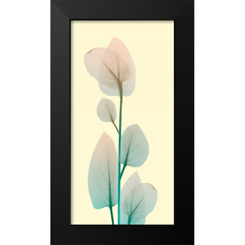 Blissful Bloom 2 Black Modern Wood Framed Art Print by Koetsier, Albert