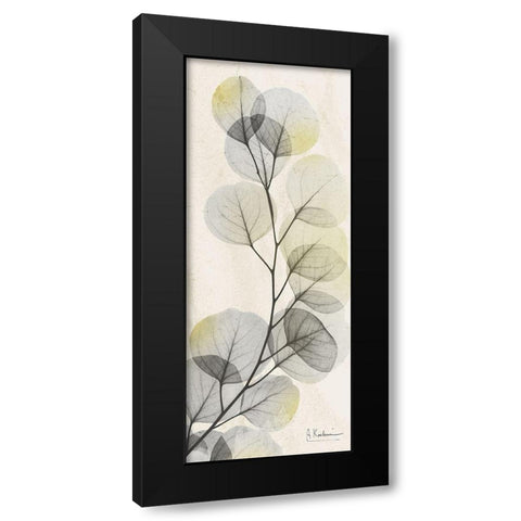 Eucalyptus Sunshine Black Modern Wood Framed Art Print with Double Matting by Koetsier, Albert