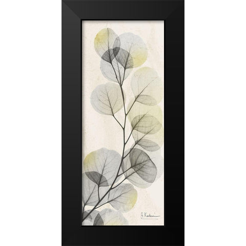 Eucalyptus Sunshine Black Modern Wood Framed Art Print by Koetsier, Albert