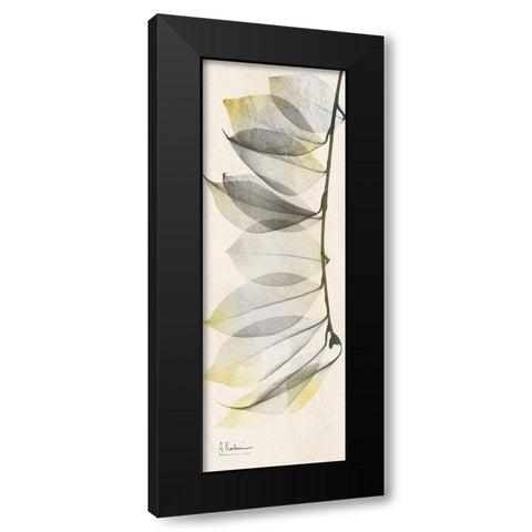 Camelia Sunshine Black Modern Wood Framed Art Print by Koetsier, Albert