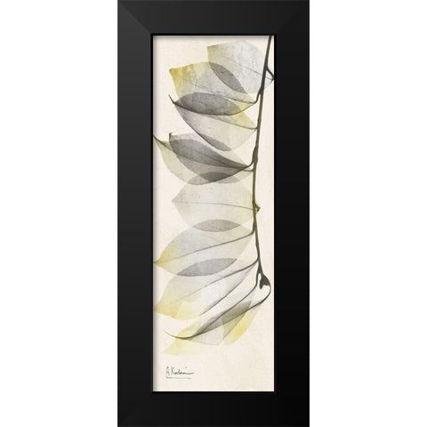 Camelia Sunshine Black Modern Wood Framed Art Print by Koetsier, Albert