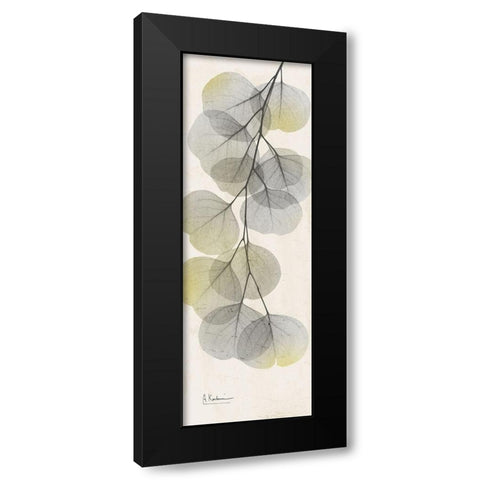 Eucalyptus Sunshine 2 Black Modern Wood Framed Art Print with Double Matting by Koetsier, Albert