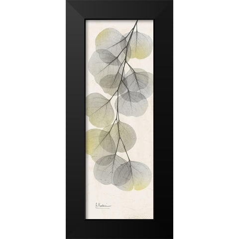 Eucalyptus Sunshine 2 Black Modern Wood Framed Art Print by Koetsier, Albert