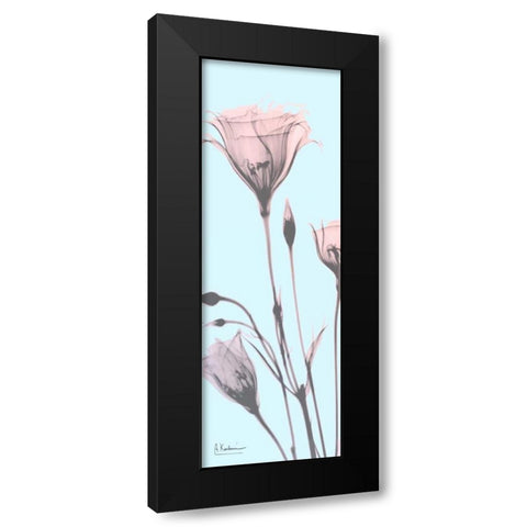 Gentian Paradise Black Modern Wood Framed Art Print with Double Matting by Koetsier, Albert