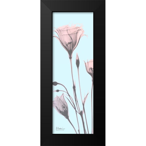 Gentian Paradise Black Modern Wood Framed Art Print by Koetsier, Albert