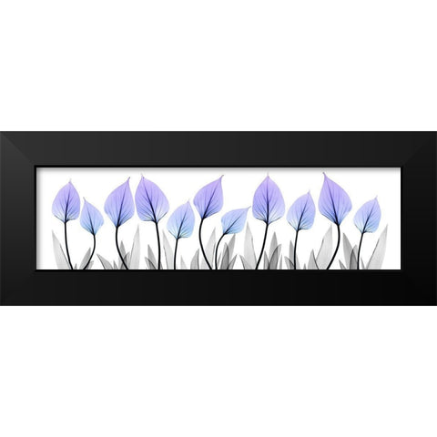 Ultra Violet Growth Black Modern Wood Framed Art Print by Koetsier, Albert