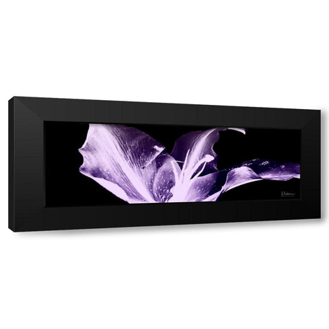 Violet Explosion 1 Black Modern Wood Framed Art Print with Double Matting by Koetsier, Albert