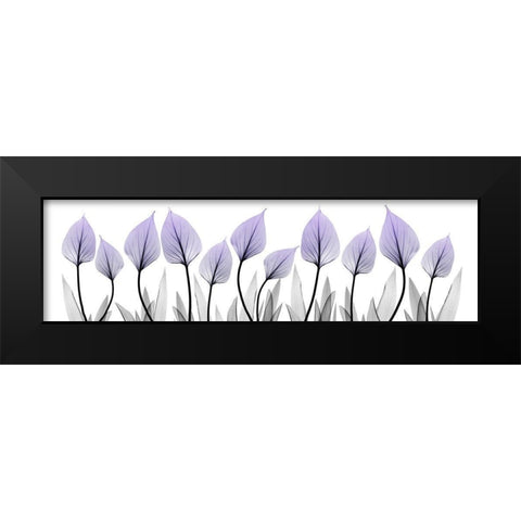 Violet Extension 1 Black Modern Wood Framed Art Print by Koetsier, Albert
