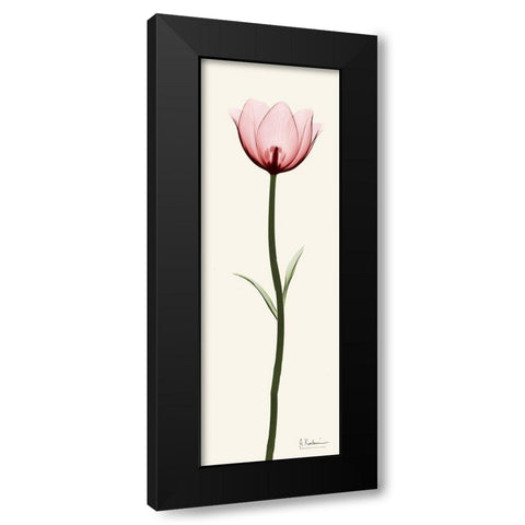 Standing Tall 1 Black Modern Wood Framed Art Print with Double Matting by Koetsier, Albert