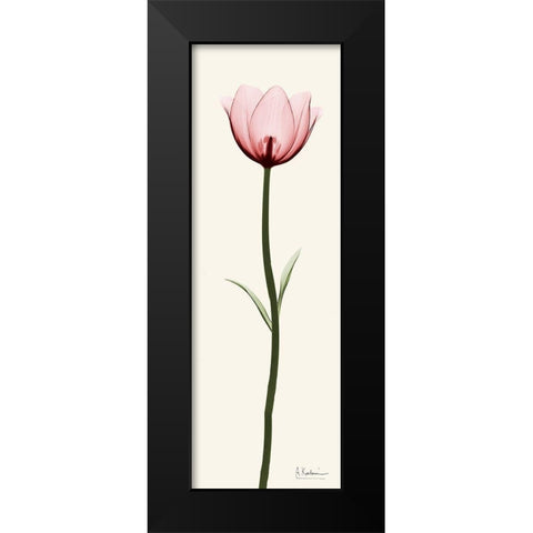 Standing Tall 1 Black Modern Wood Framed Art Print by Koetsier, Albert