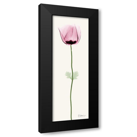 Standing Tall 3 Black Modern Wood Framed Art Print with Double Matting by Koetsier, Albert