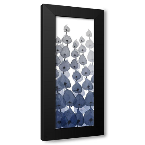 Sapphire Blooms On White 3 Black Modern Wood Framed Art Print with Double Matting by Koetsier, Albert