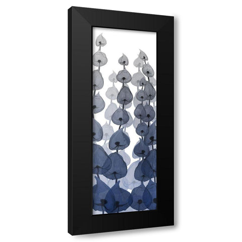 Sapphire Blooms On White 4 Black Modern Wood Framed Art Print with Double Matting by Koetsier, Albert