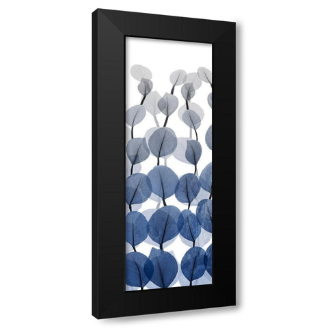 Sapphire Blooms On White 1 Black Modern Wood Framed Art Print with Double Matting by Koetsier, Albert