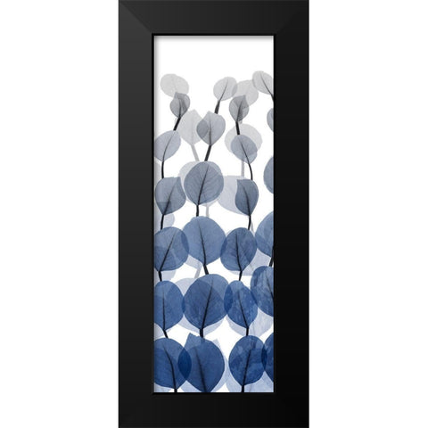 Sapphire Blooms On White 1 Black Modern Wood Framed Art Print by Koetsier, Albert