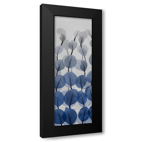 Sapphire Blooms 3 Black Modern Wood Framed Art Print with Double Matting by Koetsier, Albert