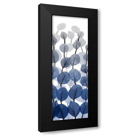 Sapphire Blooms On White 2 Black Modern Wood Framed Art Print by Koetsier, Albert