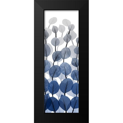 Sapphire Blooms On White 2 Black Modern Wood Framed Art Print by Koetsier, Albert