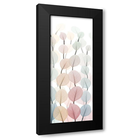 Sprouting Hues 1 Black Modern Wood Framed Art Print with Double Matting by Koetsier, Albert