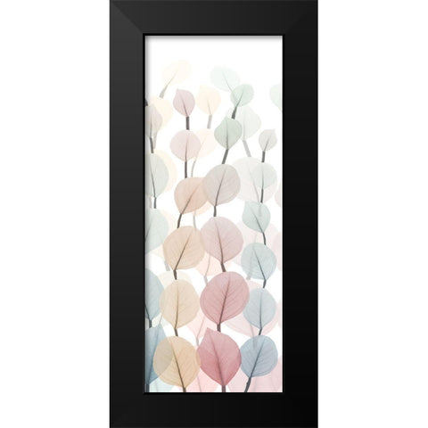 Sprouting Hues 1 Black Modern Wood Framed Art Print by Koetsier, Albert