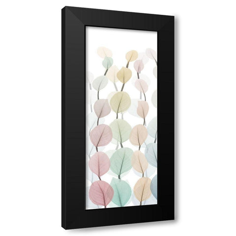 Sprouting Hues 2 Black Modern Wood Framed Art Print with Double Matting by Koetsier, Albert