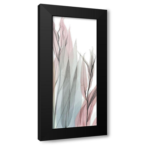 Sprouting Hues 5 Black Modern Wood Framed Art Print with Double Matting by Koetsier, Albert