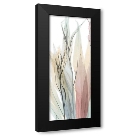 Sprouting Hues 6 Black Modern Wood Framed Art Print with Double Matting by Koetsier, Albert