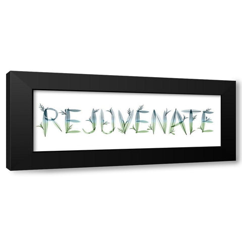 Rejuvenate Black Modern Wood Framed Art Print by Koetsier, Albert