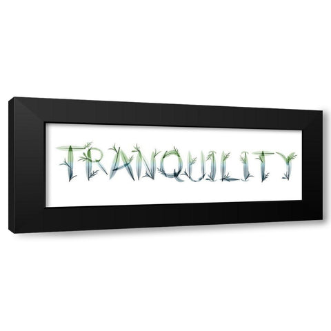 Tranquility Black Modern Wood Framed Art Print with Double Matting by Koetsier, Albert