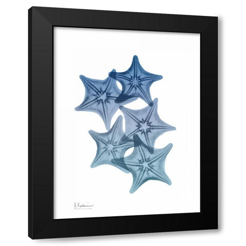 Tidal Starfish 1 Black Modern Wood Framed Art Print with Double Matting by Koetsier, Albert