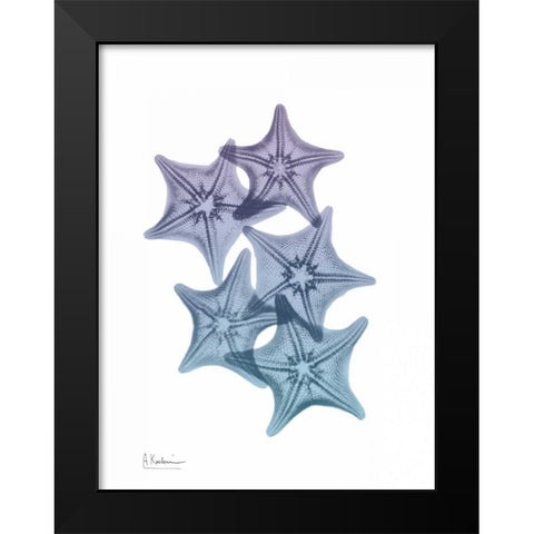 Lavender Splashed Starfish 1 Black Modern Wood Framed Art Print by Koetsier, Albert