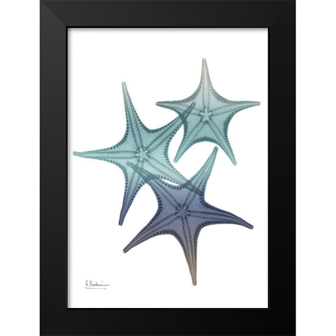 Starfish Ombre 2 Black Modern Wood Framed Art Print by Koetsier, Albert