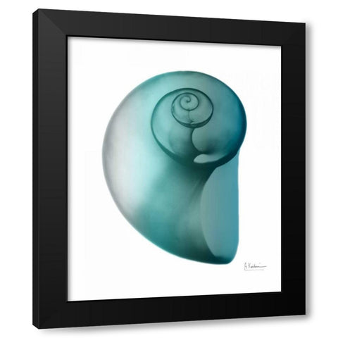 Water Snail 2 Black Modern Wood Framed Art Print by Koetsier, Albert