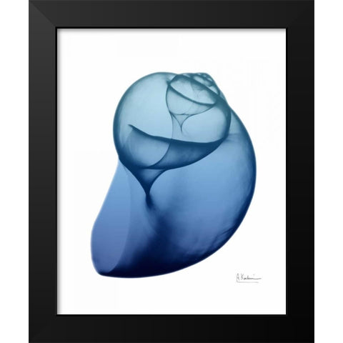 Scenic Water Snail 1 Black Modern Wood Framed Art Print by Koetsier, Albert