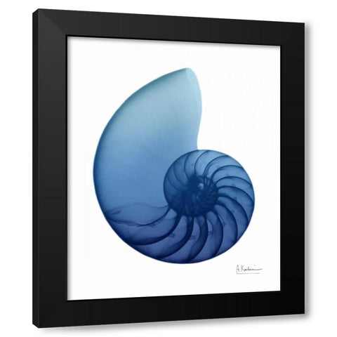 Scenic Water Snail 2 Black Modern Wood Framed Art Print by Koetsier, Albert