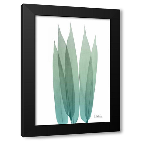 Radiant Bamboo Leaf 1 Black Modern Wood Framed Art Print with Double Matting by Koetsier, Albert