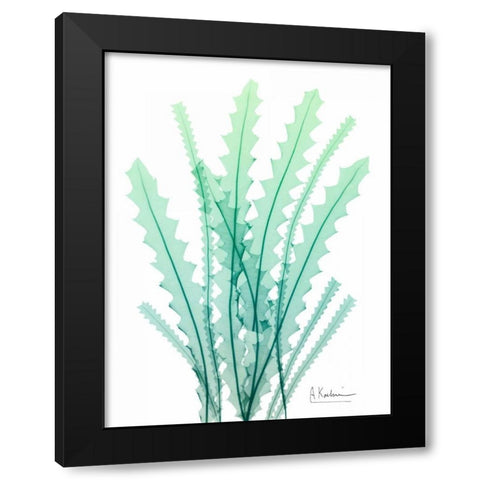 Radiant Banksia Black Modern Wood Framed Art Print by Koetsier, Albert