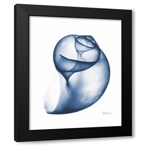 Indigo Water Snail Black Modern Wood Framed Art Print with Double Matting by Koetsier, Albert