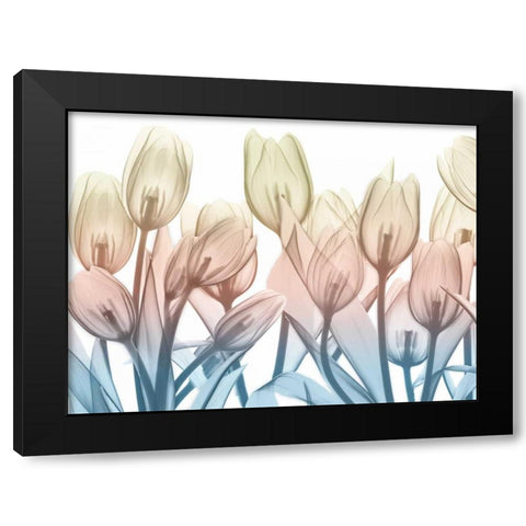 Magical Garden.jpg Black Modern Wood Framed Art Print by Koetsier, Albert