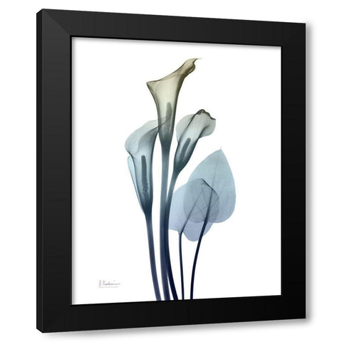 Ombre Expression 2 Black Modern Wood Framed Art Print by Koetsier, Albert