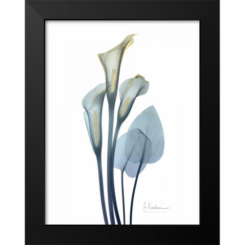 Gold Splash Calla Lily 2 Black Modern Wood Framed Art Print by Koetsier, Albert