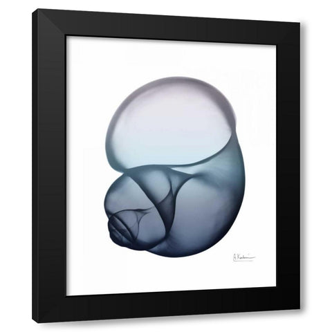 Lavender Snail 1 Black Modern Wood Framed Art Print with Double Matting by Koetsier, Albert