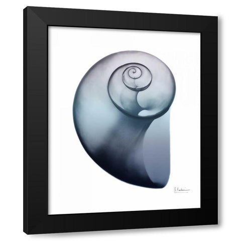 Lavender Snail 2 Black Modern Wood Framed Art Print with Double Matting by Koetsier, Albert