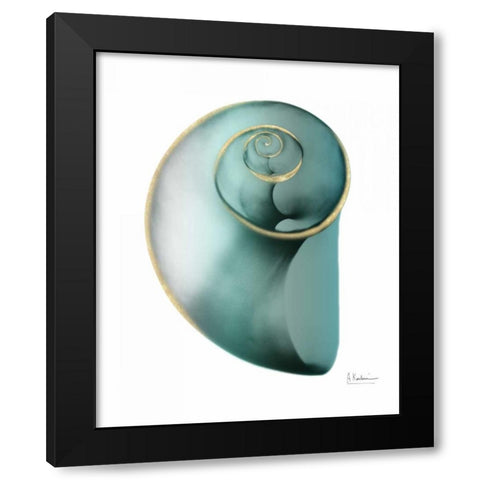 Shimmering Snail 2 Black Modern Wood Framed Art Print with Double Matting by Koetsier, Albert