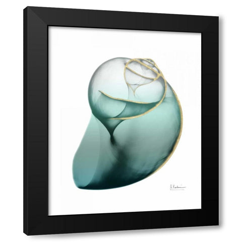 Shimmering Snail 3 Black Modern Wood Framed Art Print with Double Matting by Koetsier, Albert