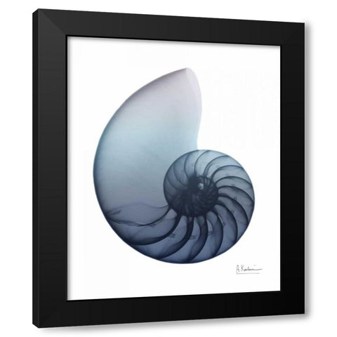 Lavender Snail 4 Black Modern Wood Framed Art Print with Double Matting by Koetsier, Albert